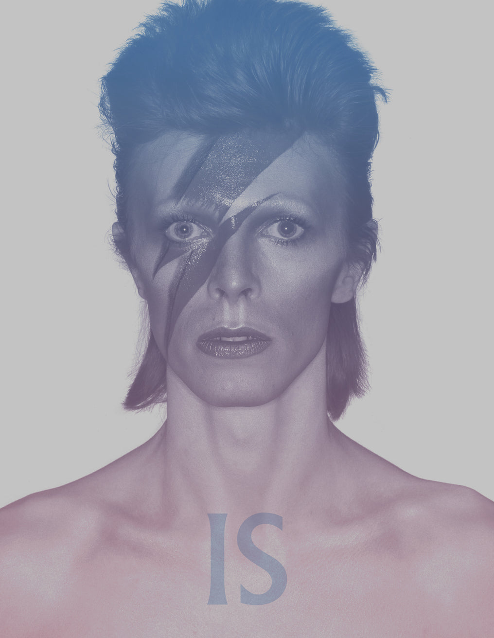 David Bowie Is (Paperback)