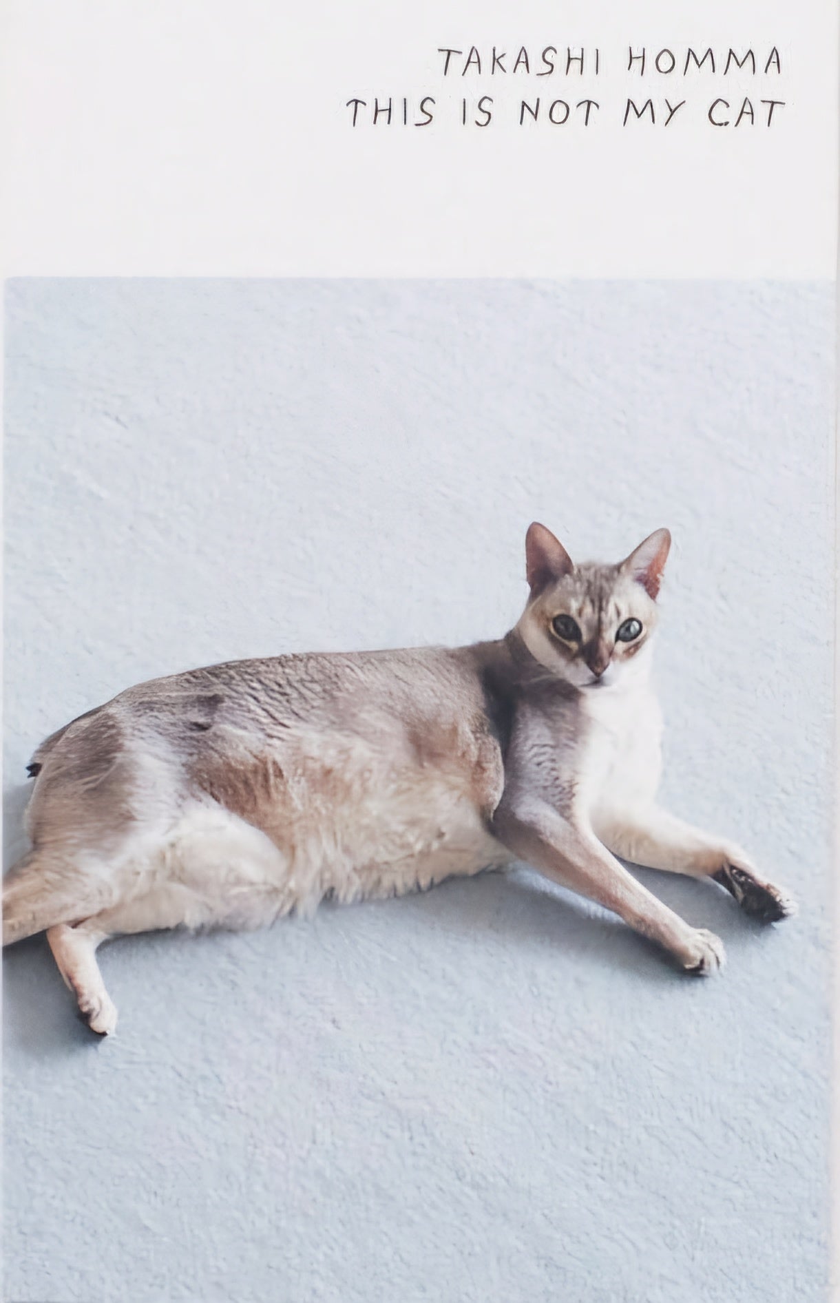 This Is Not My Cat