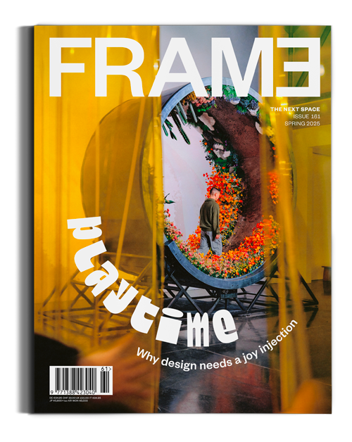 Frame #161