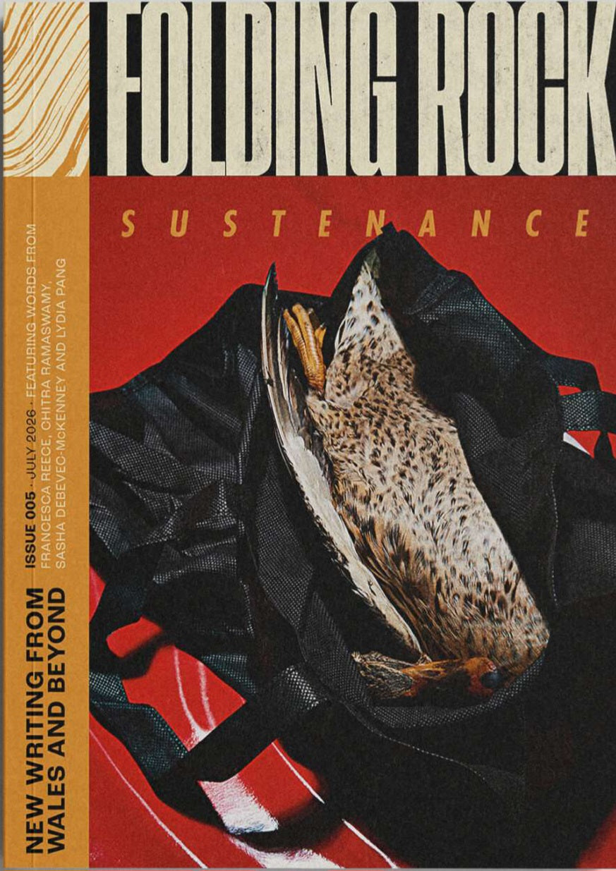Folding Rock #5
