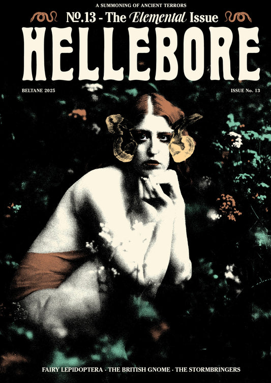 Hellebore #13