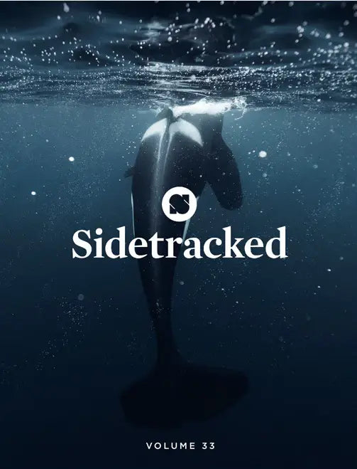 Sidetracked #33