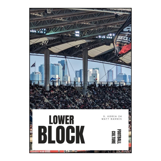 LOWER BLOCK S. Korea 24 | Matt Barnes