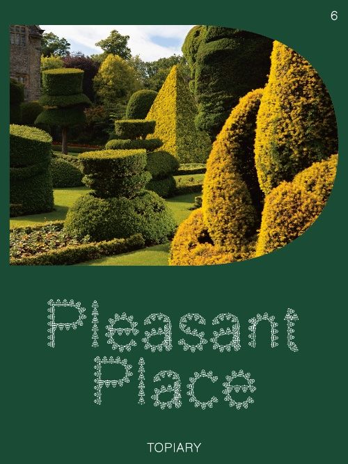 Pleasant Place #6