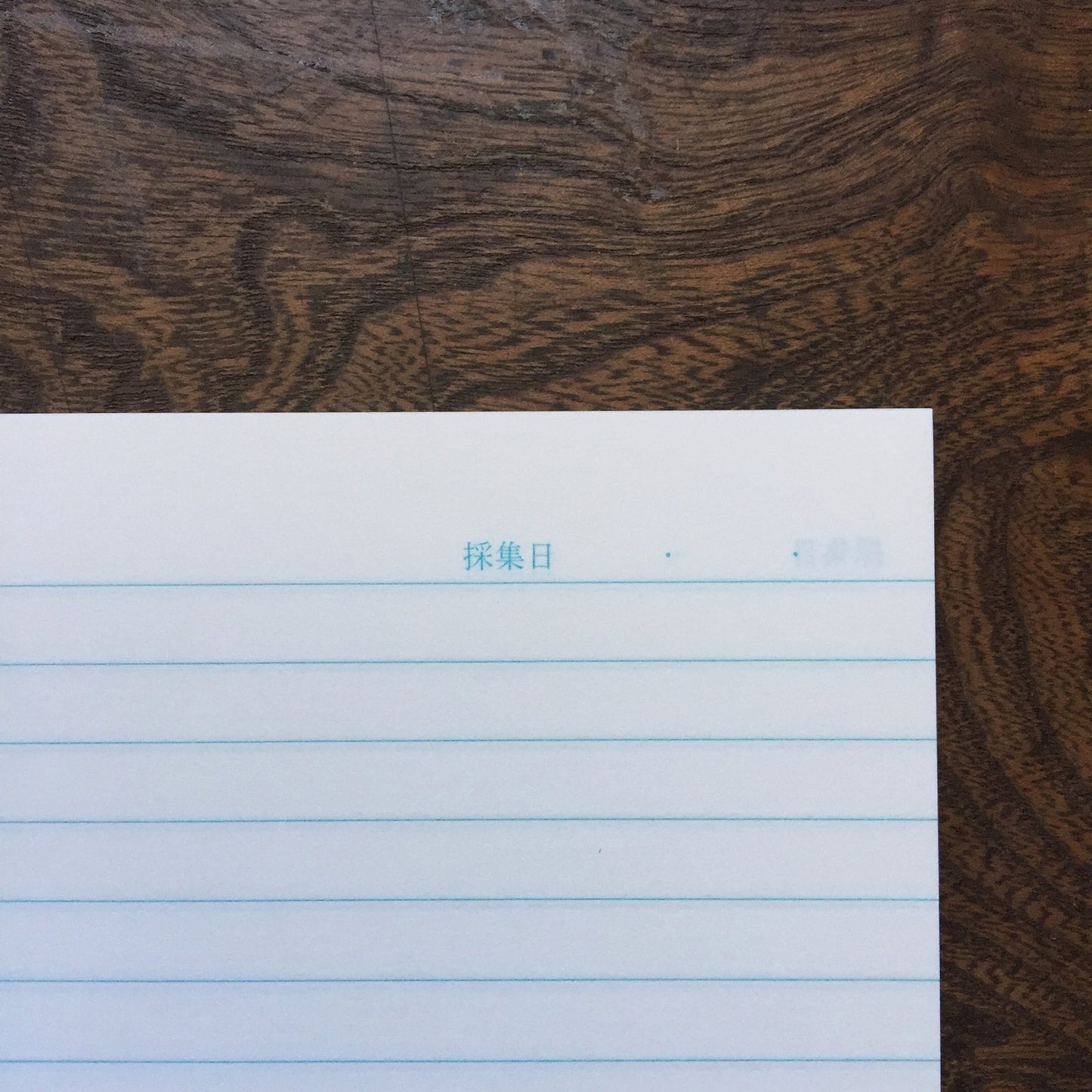 Kyupodo Notebook A5 Blue