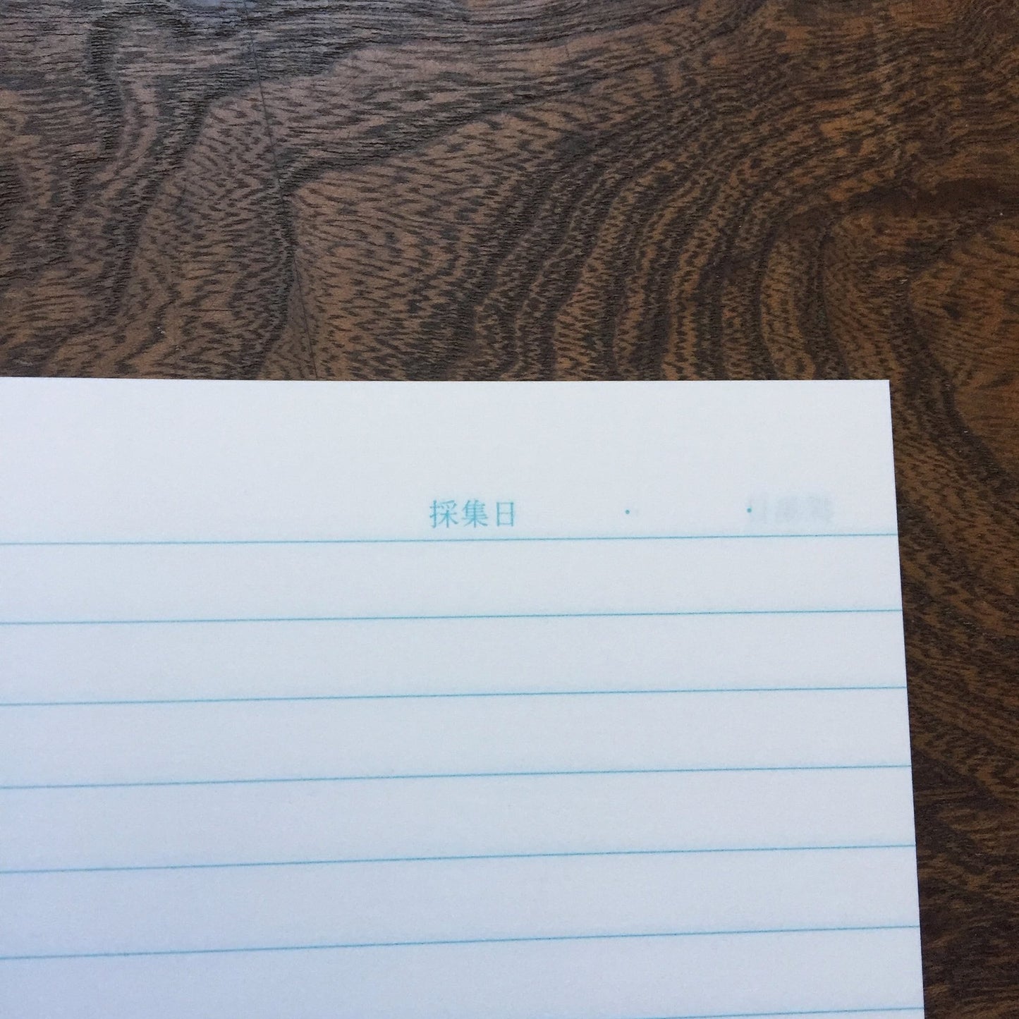 Kyupodo Notebook A5 Brown