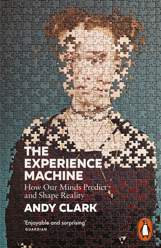 The Experience Machine: How Our Minds Predict and Shape Reality