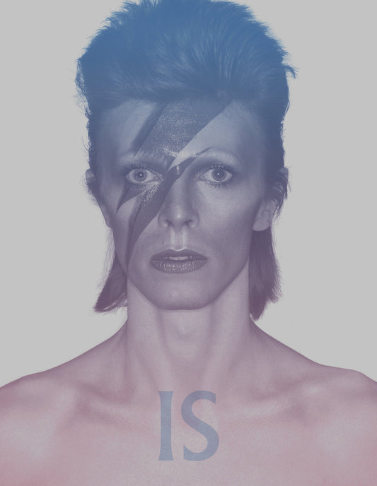 David Bowie Is (Paperback)