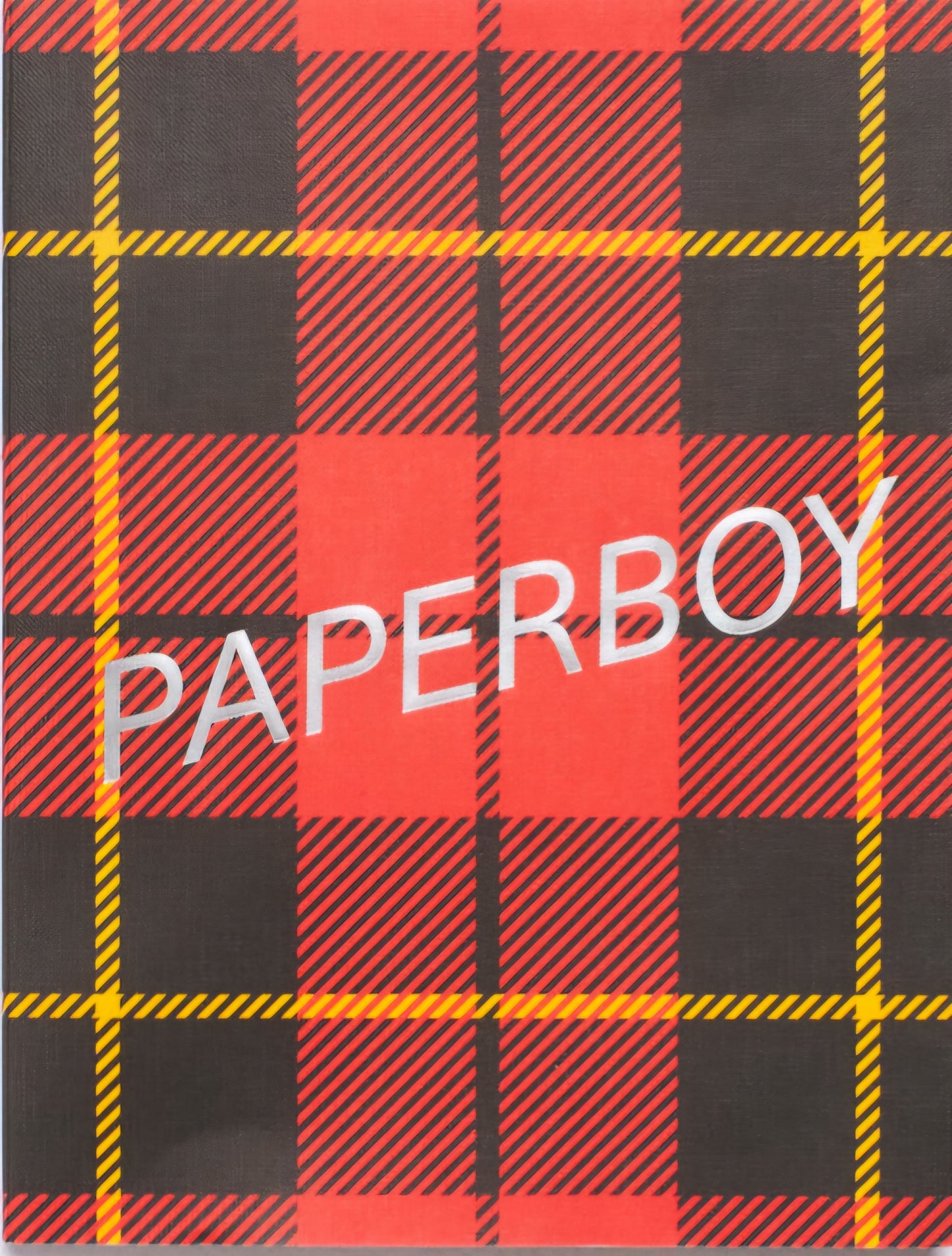 Paperboy #8