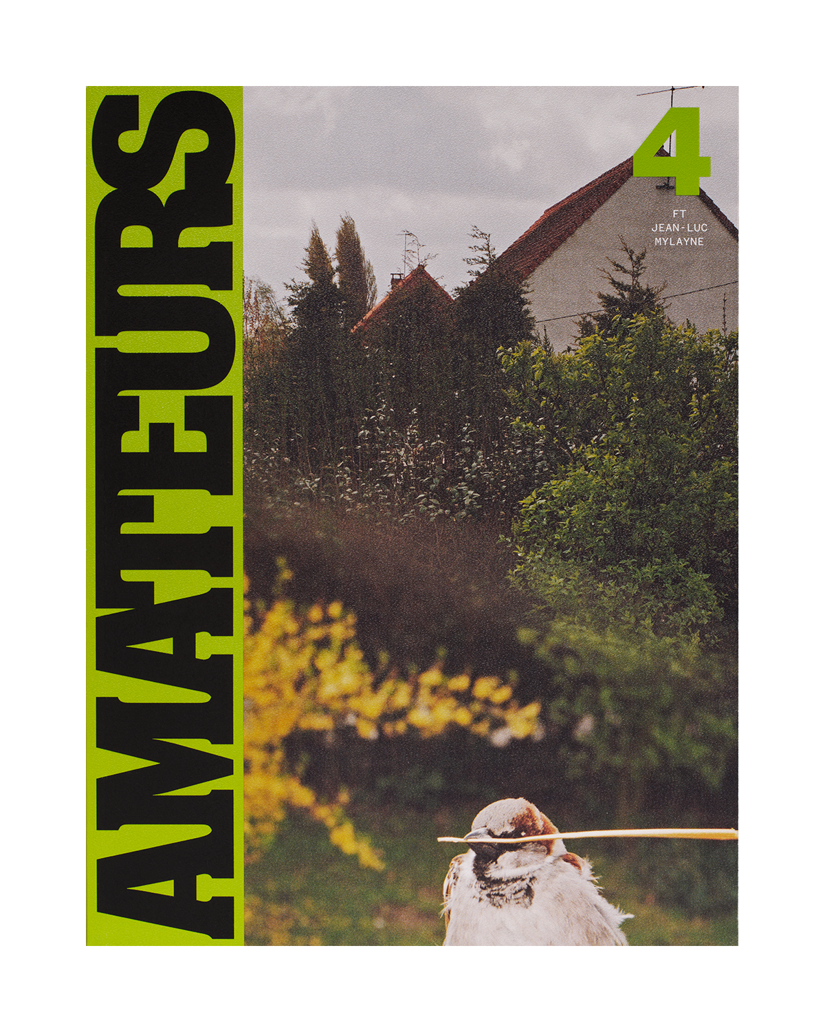 Amateurs #4