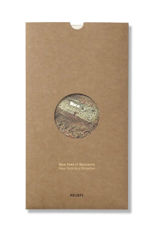 Map New York and Brooklyn (1877)