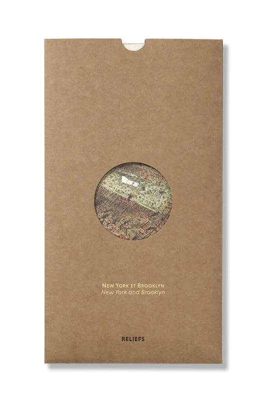 Map New York and Brooklyn (1877)