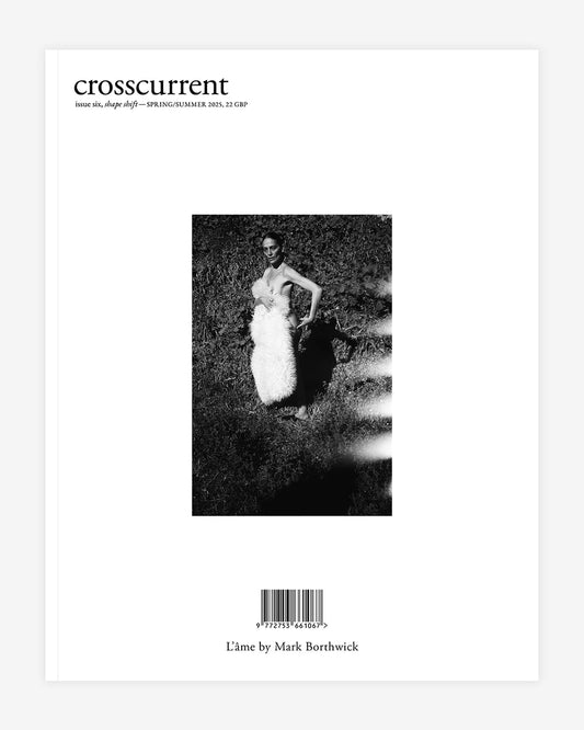 Crosscurrent #6
