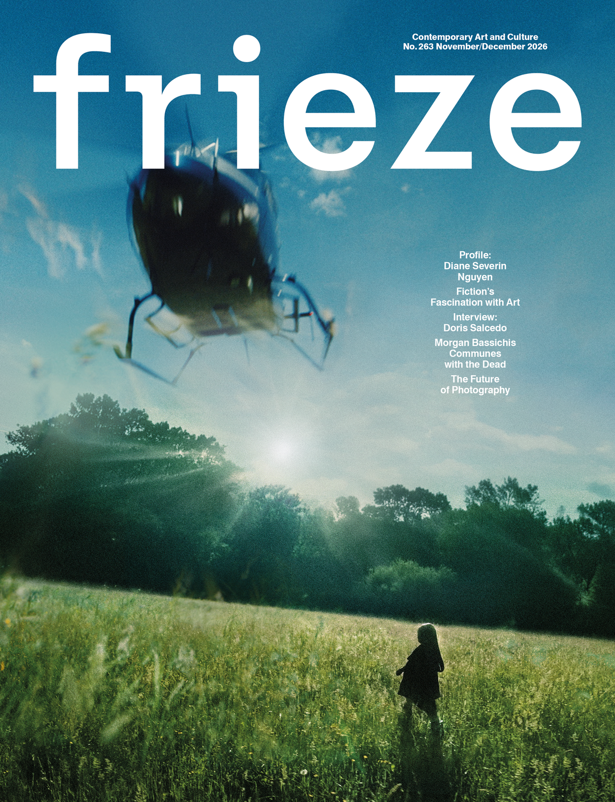 Frieze #263