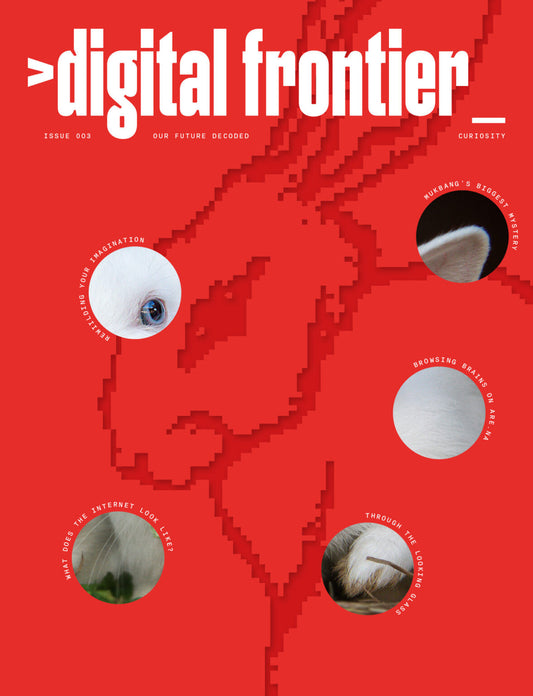 Digital Frontier #3