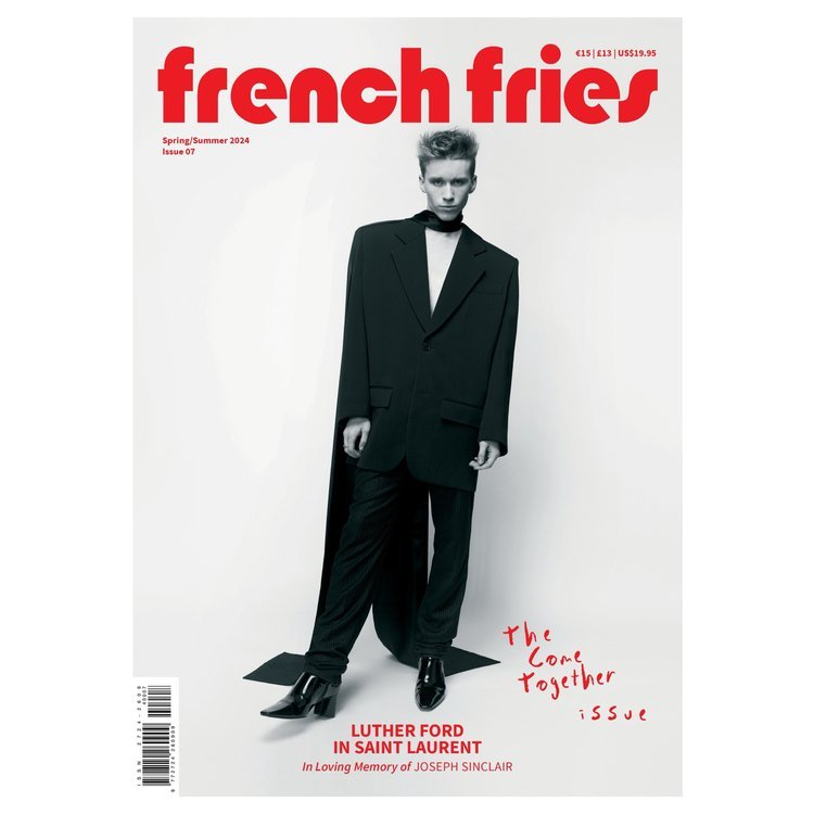 French Fries #9