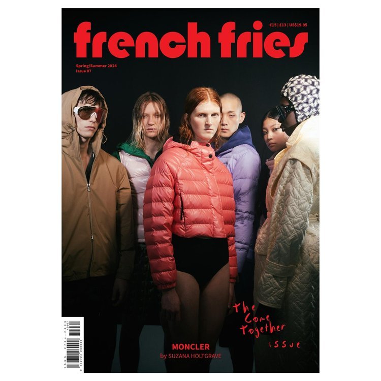 French Fries #9