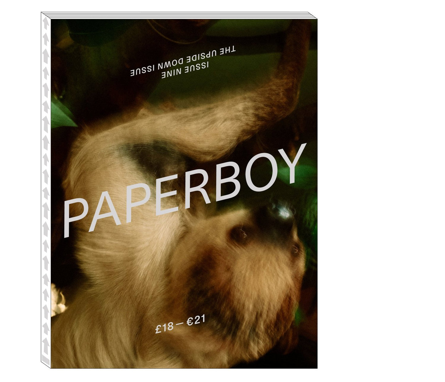 Paperboy #9