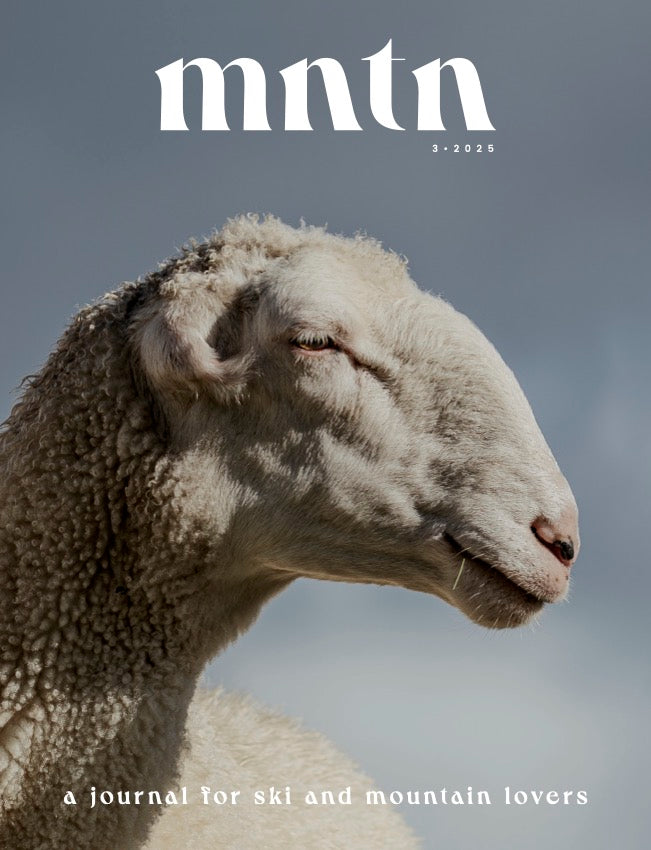 Mountain Journal #3