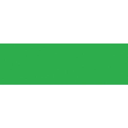 mt Washi 1P basic - Green