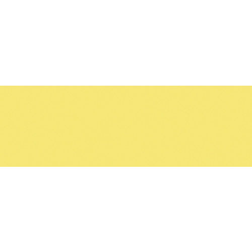 mt Washi 1P basic - Tamago
