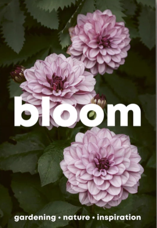 Bloom #16