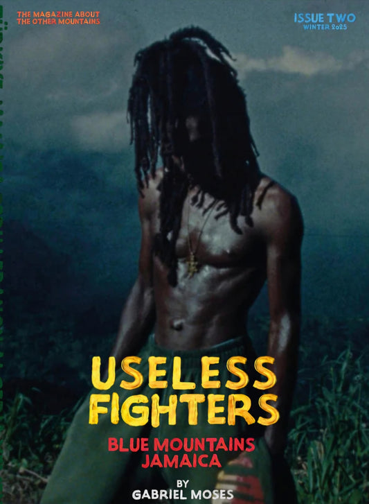 Useless Fighters #2
