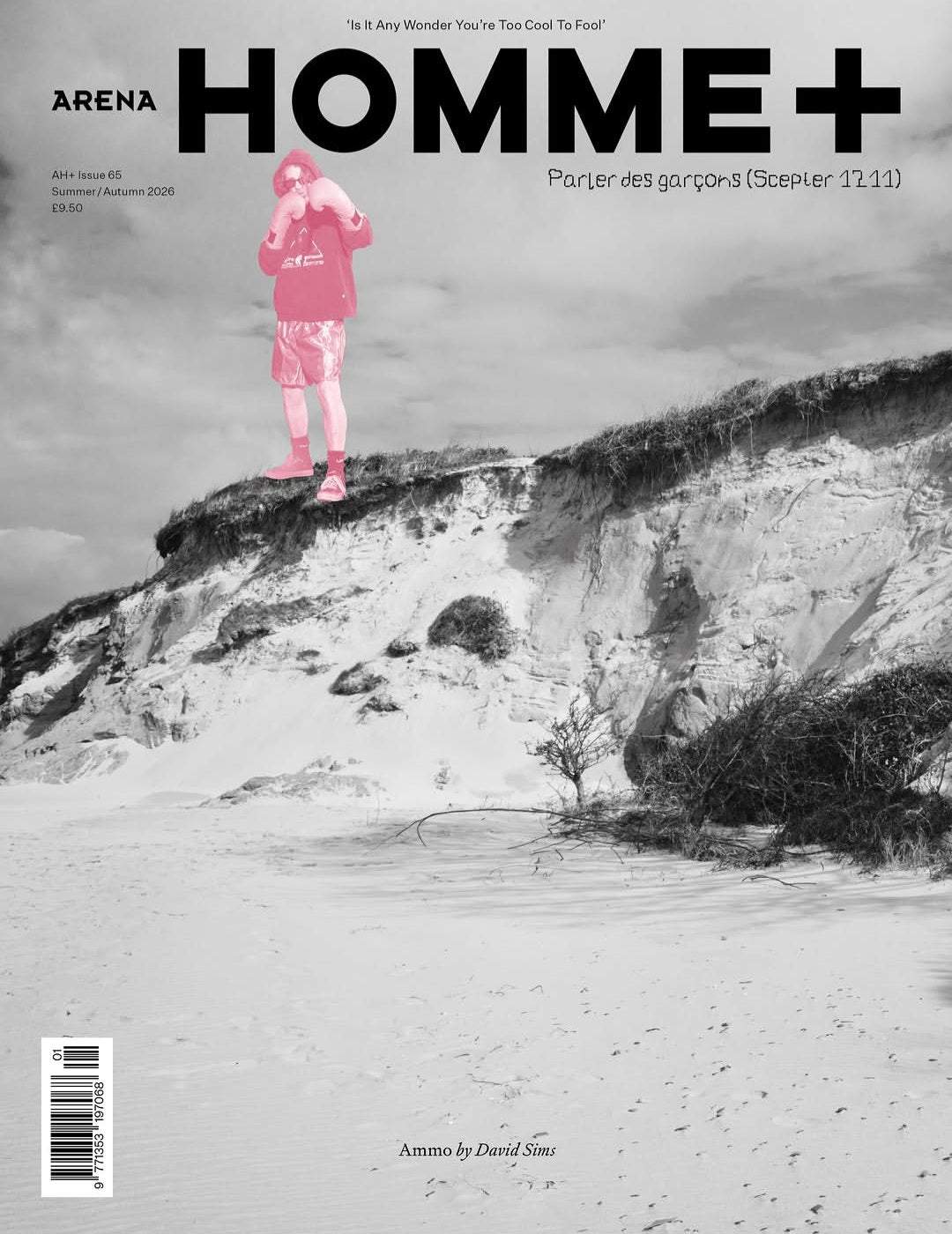 Arena Homme Plus #65