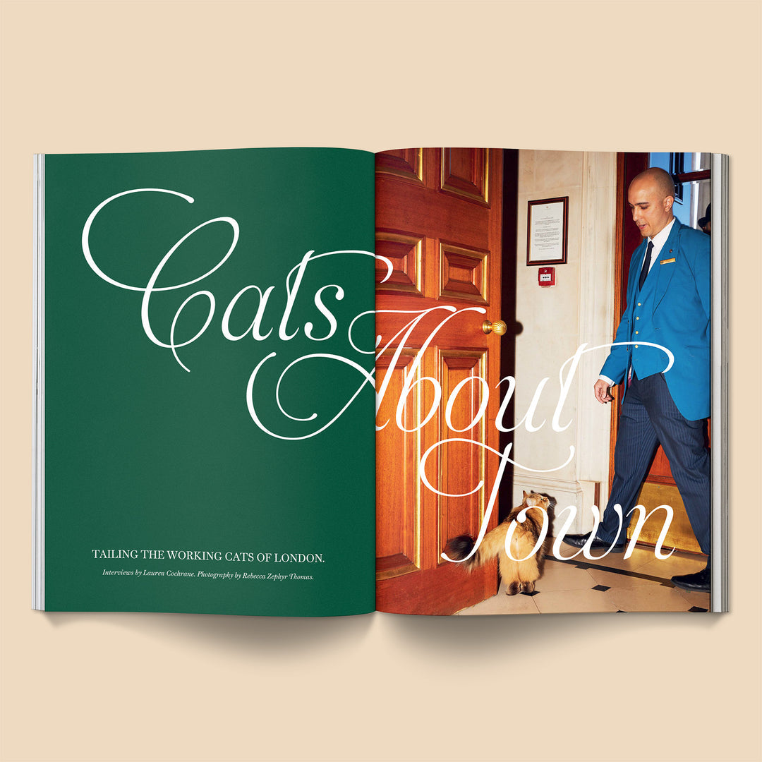 PRE ORDER - Catnip #2