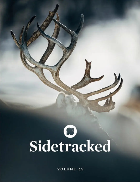 Sidetracked #35